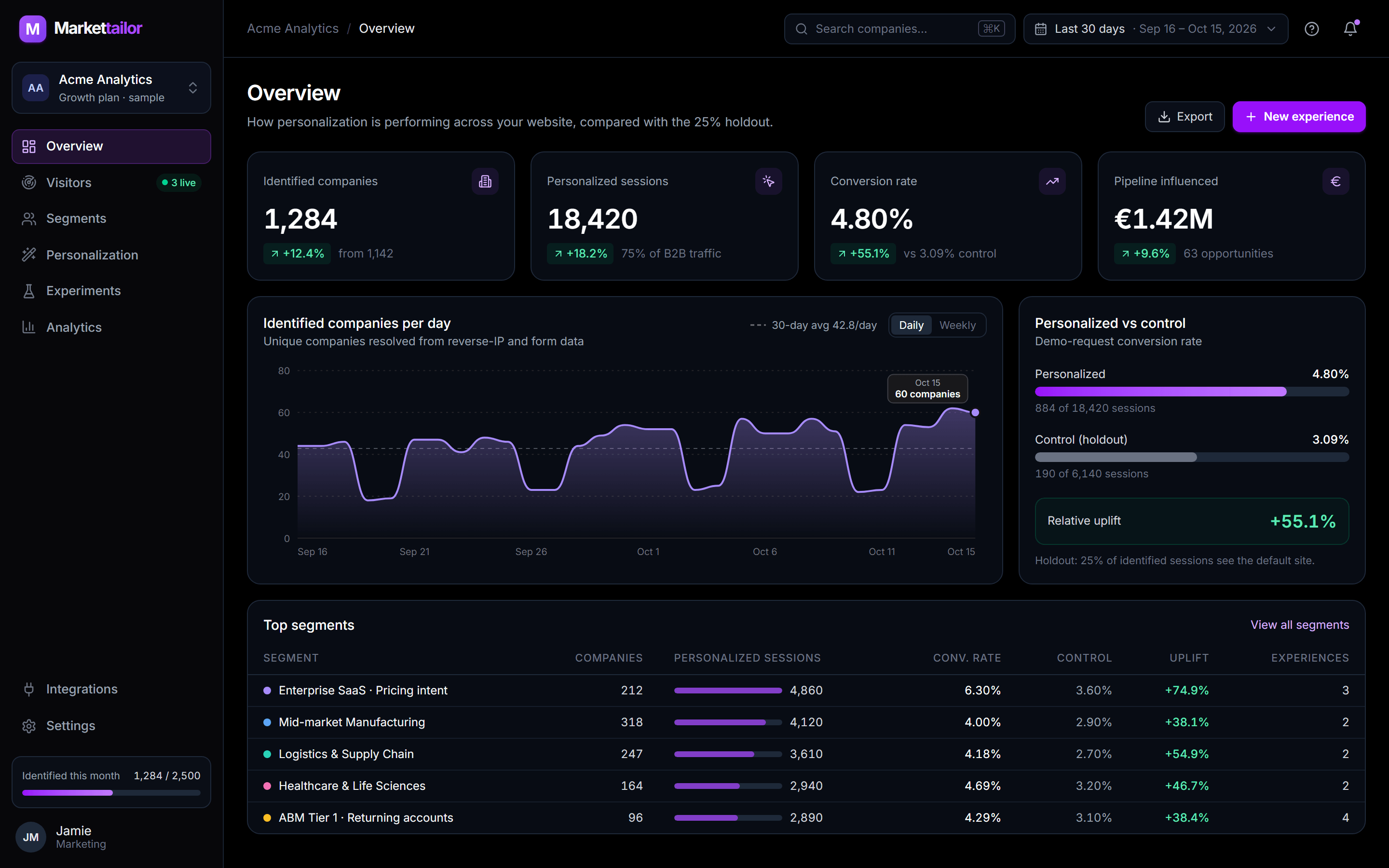 Markettailor overview dashboard showing identified companies, personalized sessions, conversion rate against a holdout group, companies identified per day and the top-performing segments